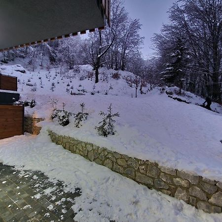 Mavrovo Ski Apartment Экстерьер фото